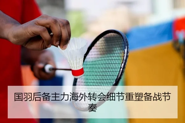 国羽后备主力海外转会细节重塑备战节奏